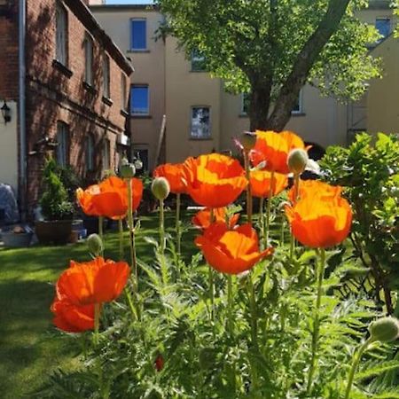 City Appartement Mit Garten, Zentral Und Trotzdem Ruhig Котбус Экстерьер фото